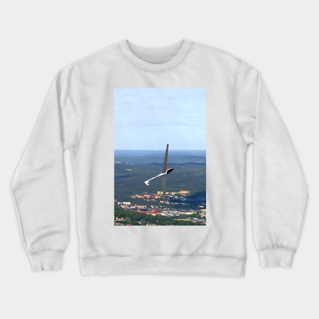 Glider Crewneck Sweatshirt by FotoJarmo